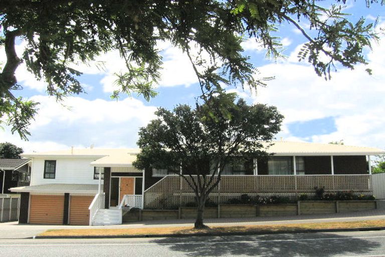 Photo of property in 115 Gemstone Drive, Birchville, Upper Hutt, 5018