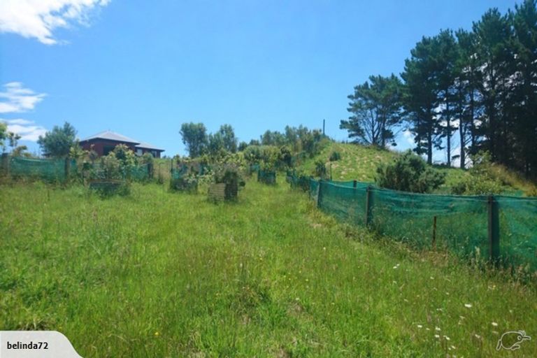 Photo of property in 420 Phillips Road, Raglan, Te Mata, 3894