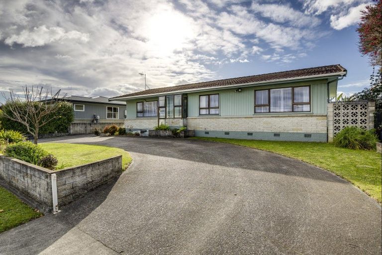 Photo of property in 24 Robinson Crescent, Tamatea, Napier, 4112