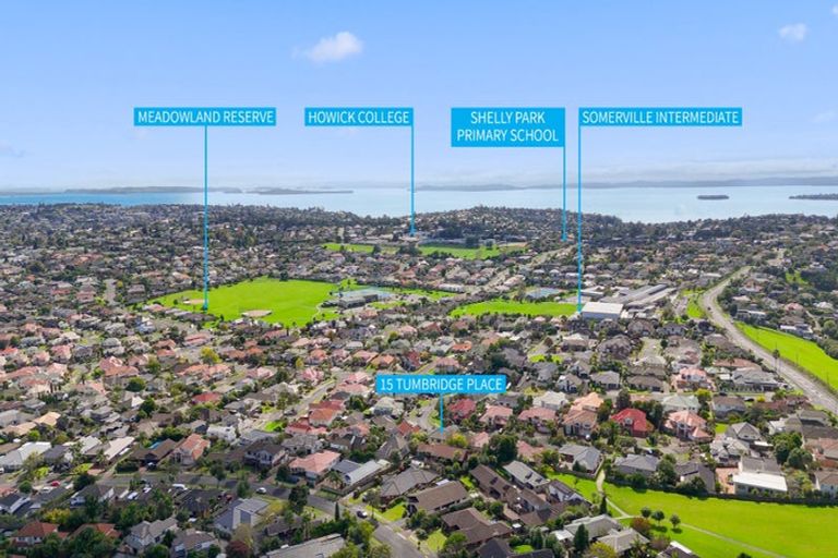 Photo of property in 15 Tumbridge Place, Somerville, Auckland, 2014