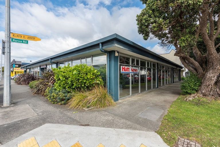 Photo of property in 22 Raroa Road, Kelburn, Wellington, 6012