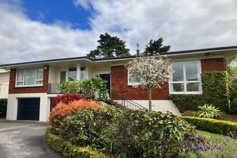 Photo of property in 15 Braithwaite Avenue, Chartwell, Hamilton, 3210