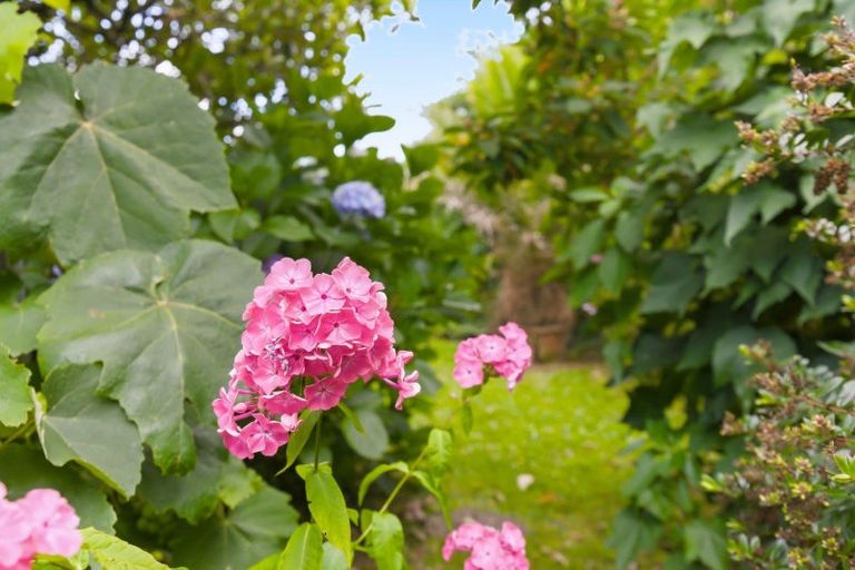 Photo of property in 75 Liverpool Street, Levin, 5510