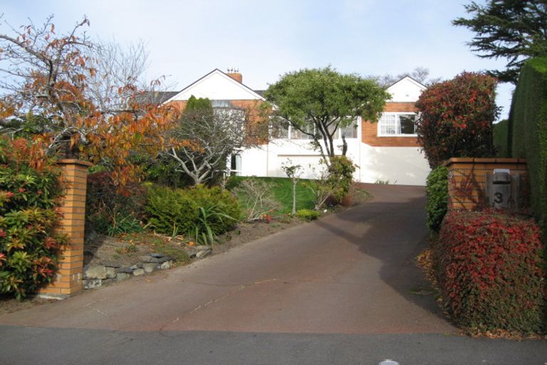 Photo of property in 3 Falcon Street, Roslyn, Dunedin, 9010