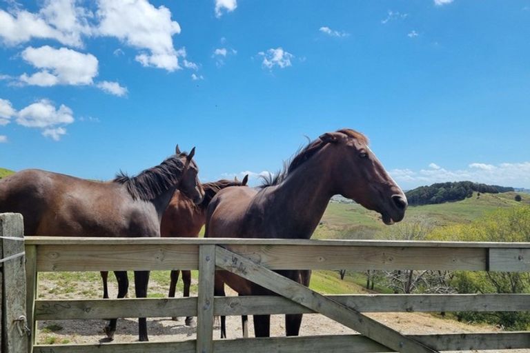 Photo of property in 217 Underwood Road, Wellsford, 0973