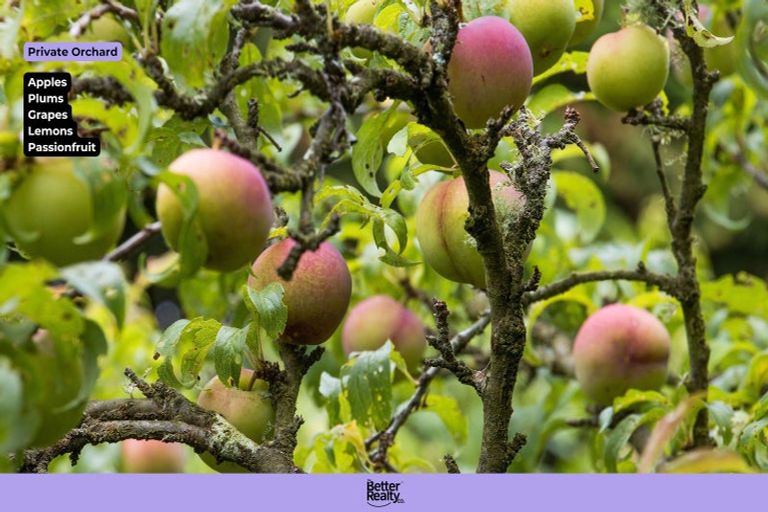 Photo of property in 10 Richmal Street, Waihi, 3610