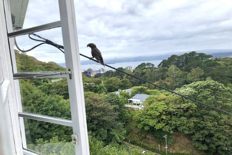 Photo of property in 9/71 Garden Road, Northland, Wellington, 6012