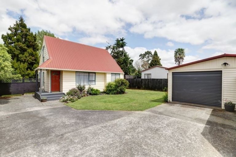 Photo of property in 63 Rimu Street, Maeroa, Hamilton, 3200