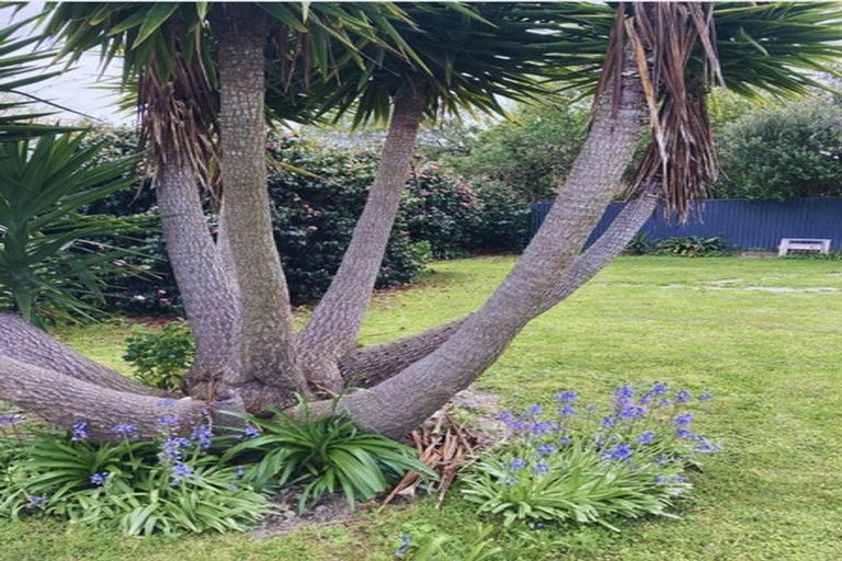 Photo of property in 81a Venice Street, Martinborough, 5711