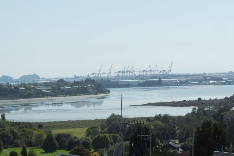 Photo of property in 31a Tekoah Place, Judea, Tauranga, 3110