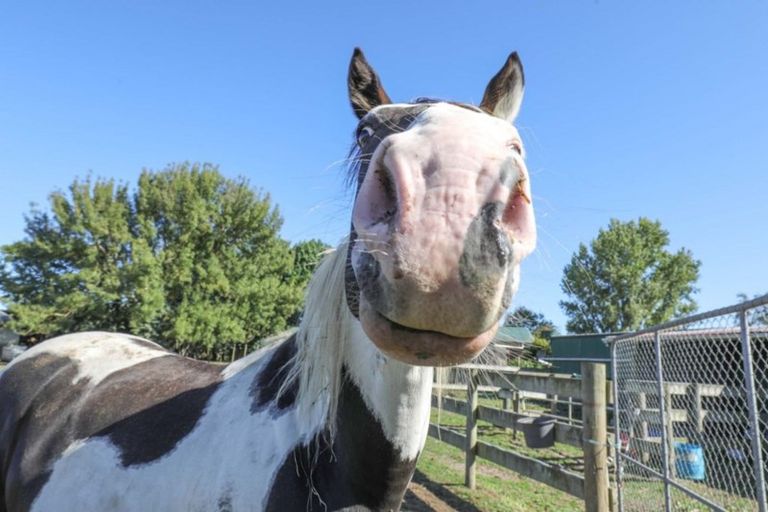 Photo of property in 151 Seddon Road, Waitoa, Te Aroha, 3393