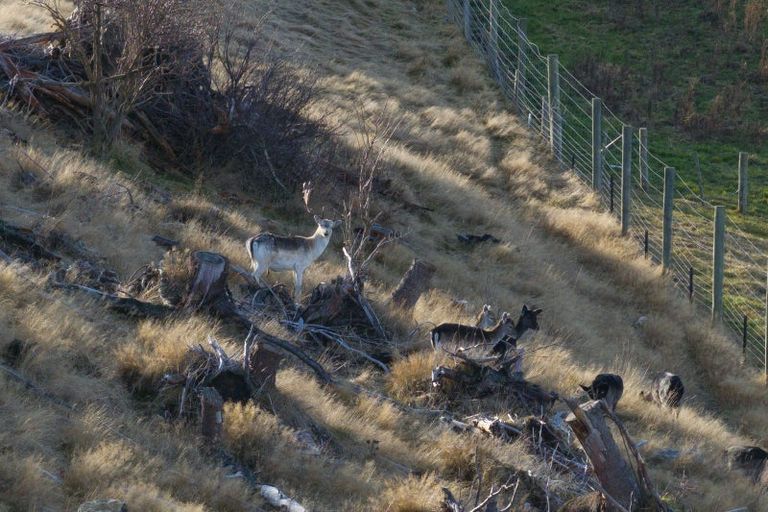 Photo of property in 777b Wilderness Road, Hillside, Te Anau, 9672