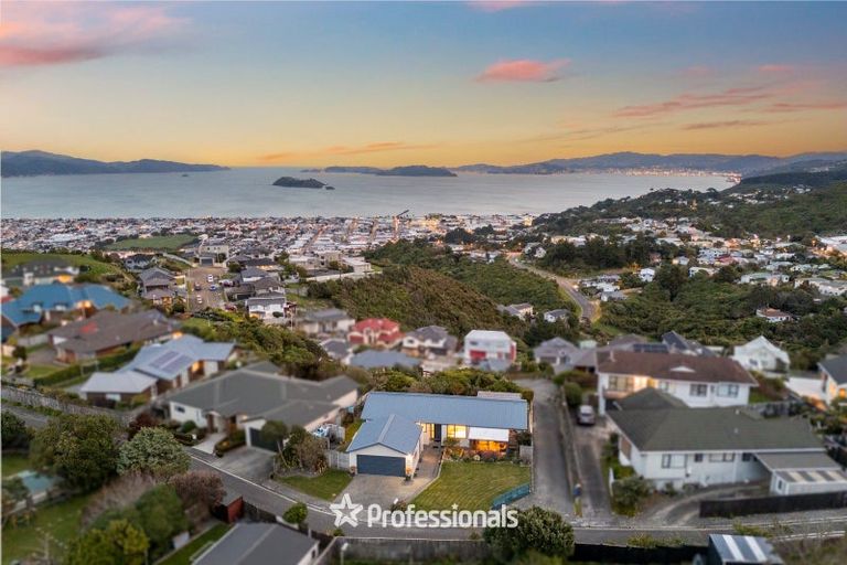 Photo of property in 9 Lemonwood Grove, Maungaraki, Lower Hutt, 5010