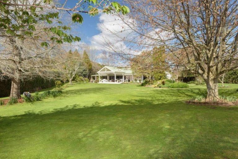 Photo of property in 16 Plane Tree Lane, Tauriko, Tauranga, 3110