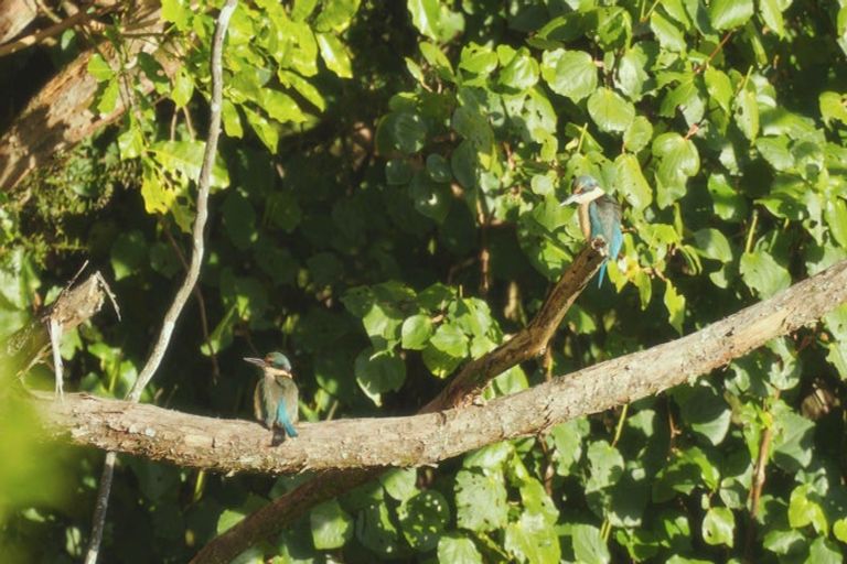 Photo of property in 629e Tara Road, Mangawhai, Kaiwaka, 0573