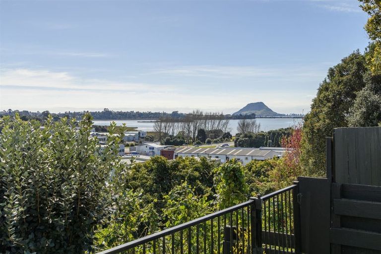 Photo of property in 171 Edgecumbe Road, Tauranga South, Tauranga, 3112