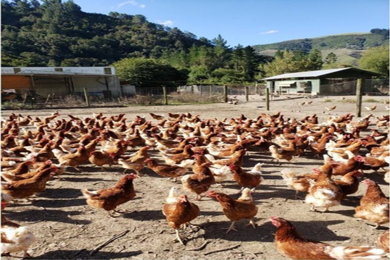 Photo of property in 275 Riwaka Valley Road, Riwaka, Motueka, 7198