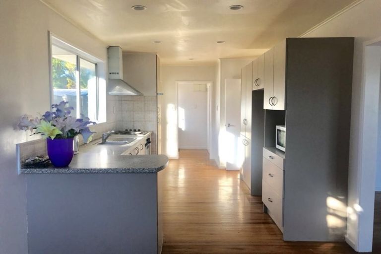 Photo of property in 69 Metcalfe Road, Ranui, Auckland, 0612