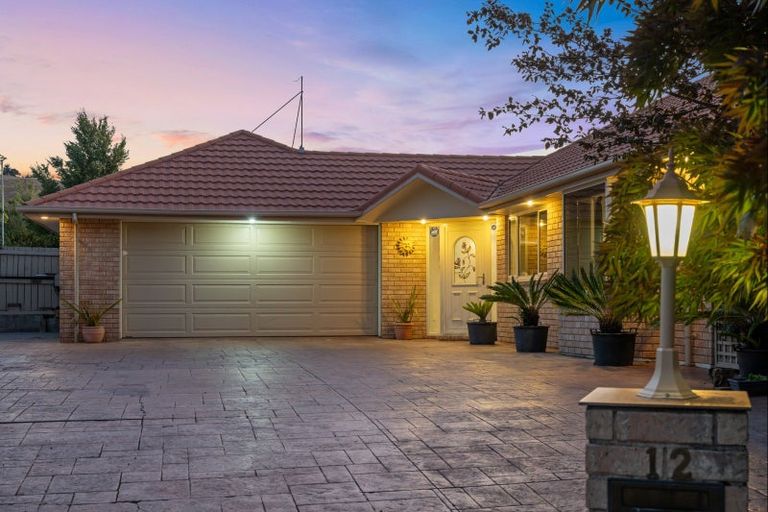 Photo of property in 12 Elmwood Avenue, Witherlea, Blenheim, 7201