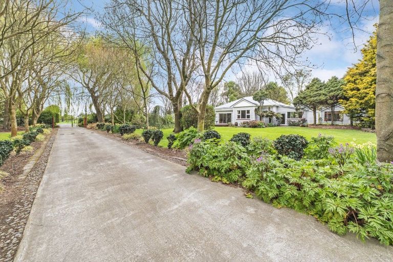 Photo of property in 53 Prossers Road, Leeston, 7682