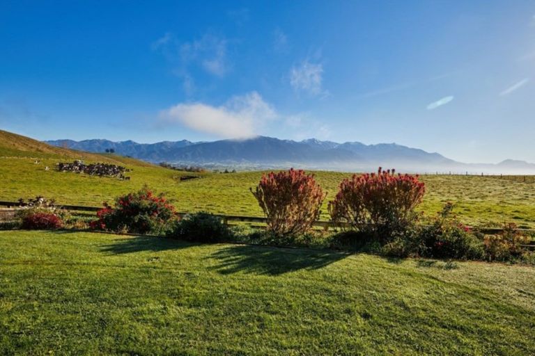 Photo of property in 41 Shearwater Drive, Kaikoura, 7300