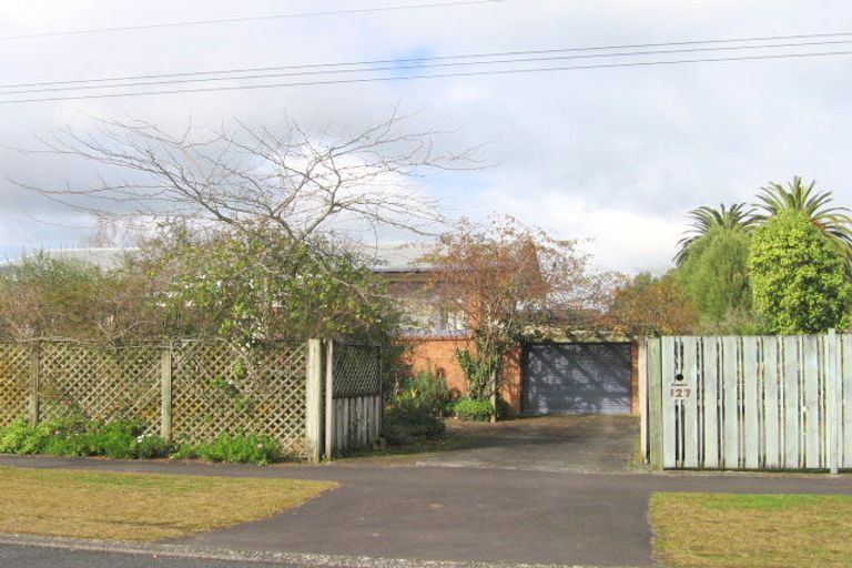 Photo of property in 123 Mahoe Street, Melville, Hamilton, 3206