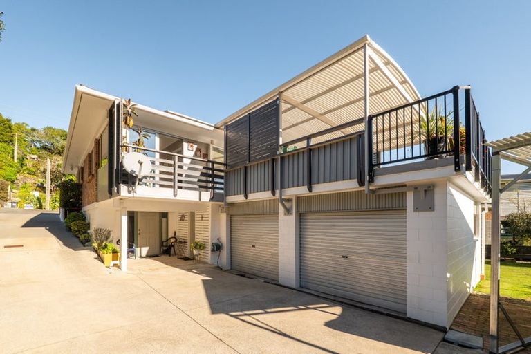 Photo of property in 110 Victoria Street, Thames, 3500