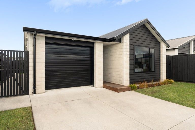 Photo of property in 3 Kotata Lane, Poike, Tauranga, 3112