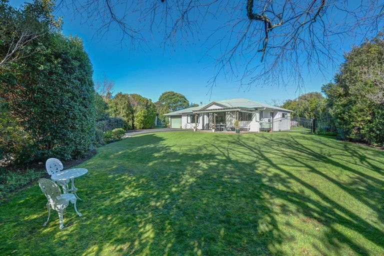 Photo of property in 51 Shelly Beach Road, Shelly Beach, Helensville, 0874