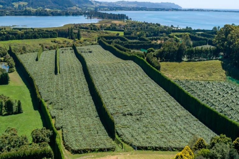 Photo of property in 215 Ongare Point Road, Tahawai, 3170