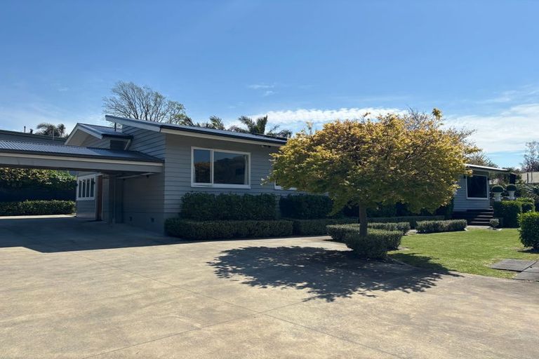 Photo of property in 15a Russell Street, Whataupoko, Gisborne, 4010