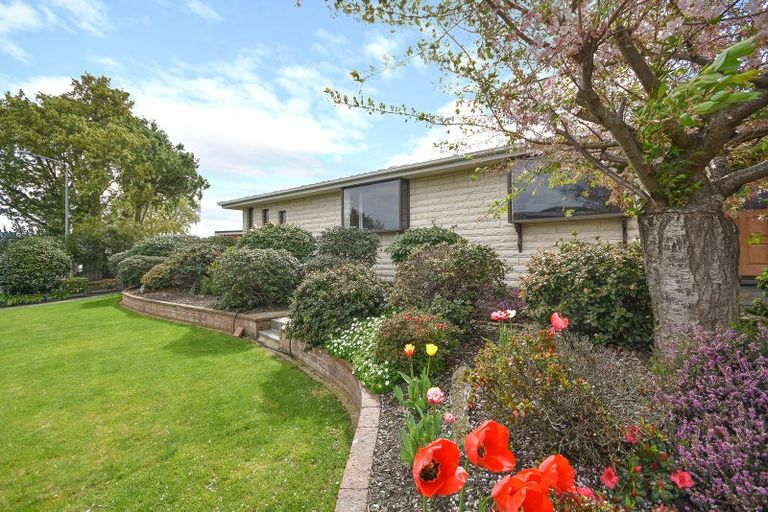 Photo of property in 9 Cedar Crescent, Mosgiel, 9024