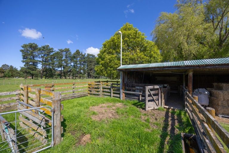 Photo of property in 122 Pohangina Road, Ashhurst, Palmerston North, 4470