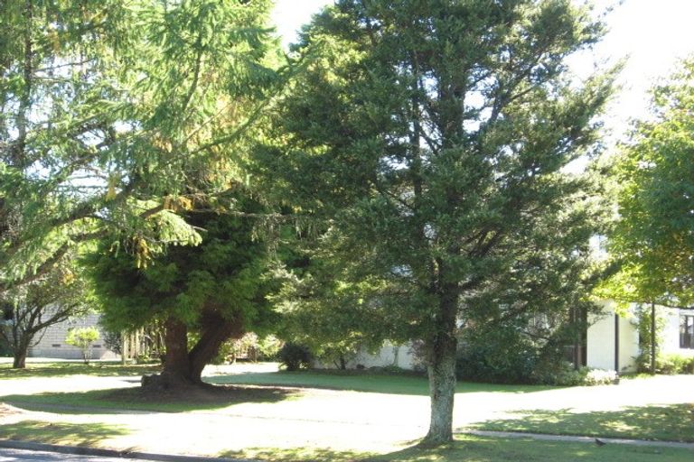 Photo of property in 118 Balmoral Drive, Tokoroa, 3420