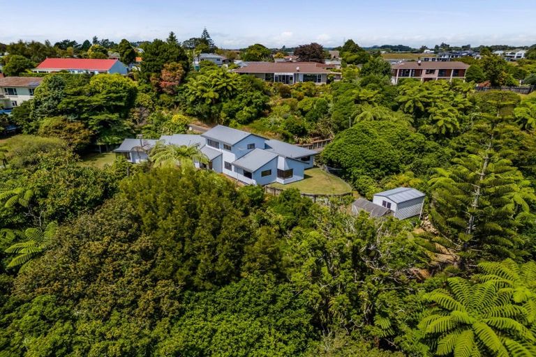Photo of property in 6 Bushview Place, Upper Vogeltown, New Plymouth, 4310