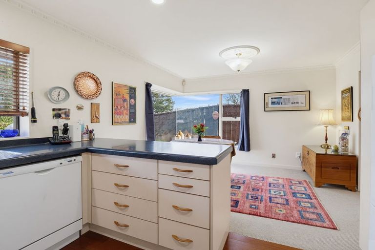 Photo of property in 219 Victoria Avenue, Hokowhitu, Palmerston North, 4410