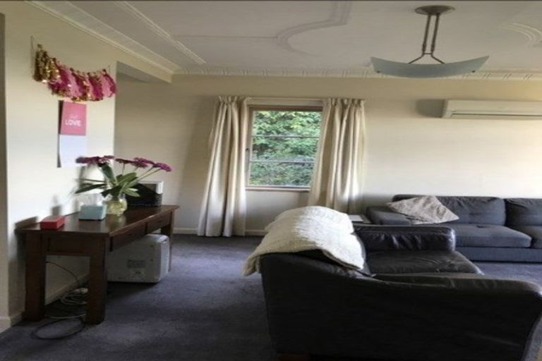 Photo of property in 4 Alva Street, Dunedin Central, Dunedin, 9016