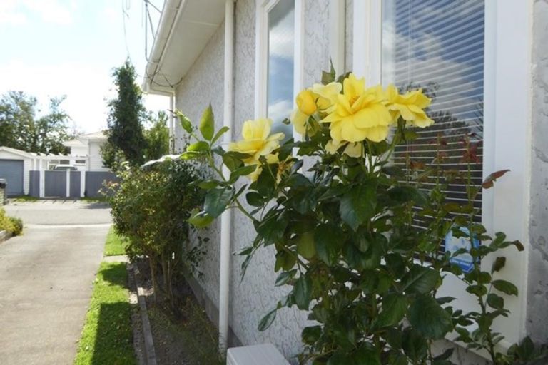 Photo of property in 209 Mclean Street, Saint Leonards, Hastings, 4120