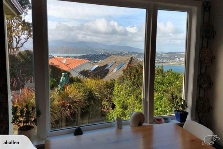 Photo of property in 53 Alexandra Road, Hataitai, Wellington, 6021