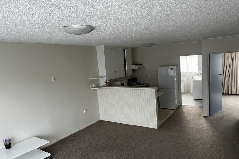 Photo of property in 19 Sheen Street, Roslyn, Dunedin, 9010