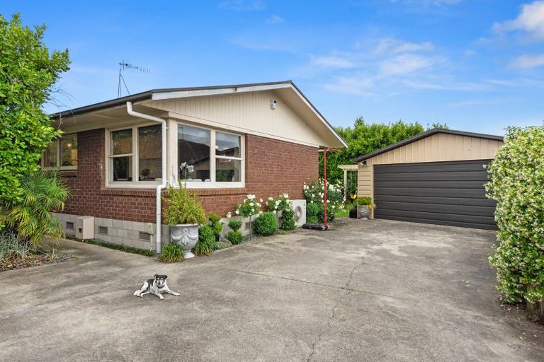 Photo of property in 12a Bains Avenue, Hamilton East, Hamilton, 3216