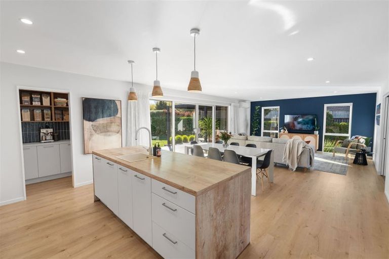 Photo of property in 149 Te Korari Street, Marshland, Christchurch, 8083