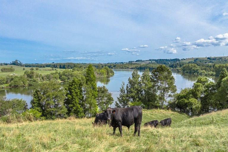 Photo of property in 376 Clark And Denize Road, Pukekawa, 2696