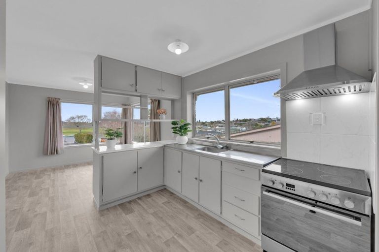 Photo of property in 15 Maple Avenue, Dinsdale, Hamilton, 3204