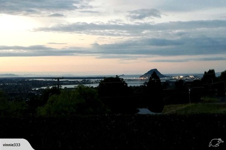 Photo of property in 430 Kaitemako Road, Welcome Bay, Tauranga, 3175