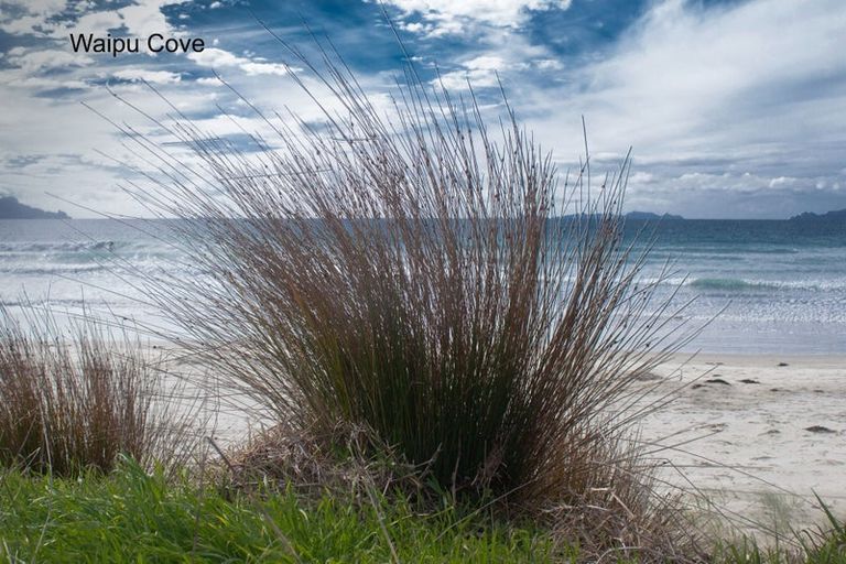 Photo of property in 20 Green Estate Drive, Waipu, 0510