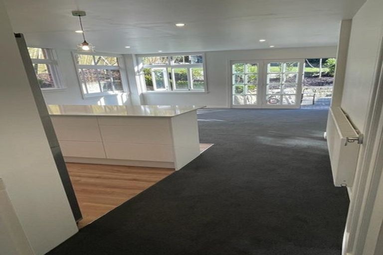 Photo of property in 19 Falkland Street, Maori Hill, Dunedin, 9010