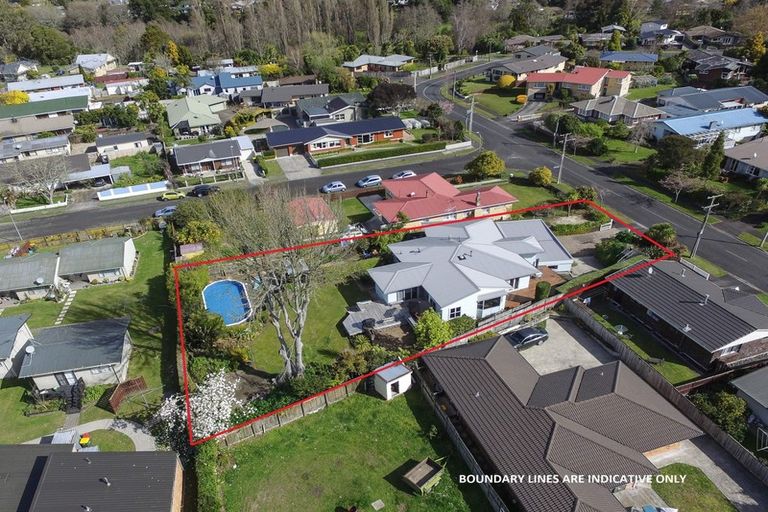 Photo of property in 46 Wymer Terrace, Chartwell, Hamilton, 3210