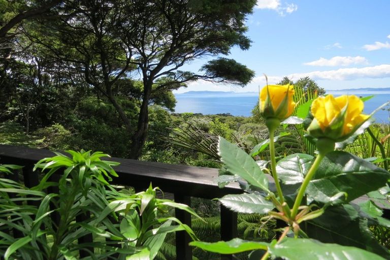 Photo of property in 515 Tuateawa Road, Tuateawa, Coromandel, 3583