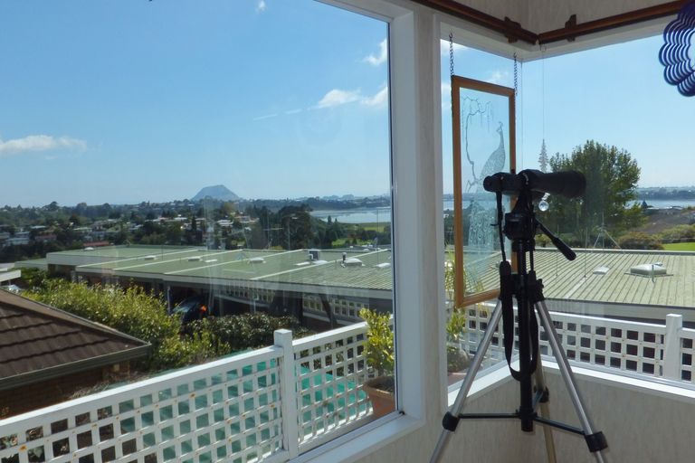 Photo of property in 31a Tekoah Place, Judea, Tauranga, 3110